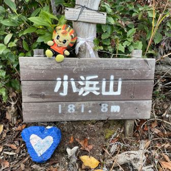 💙プレート🦁