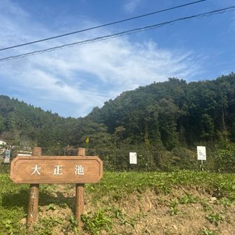 大正池です　トイレあります
