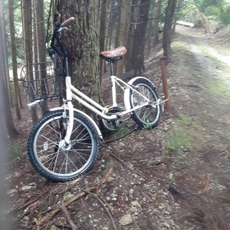 はい　帰りは　自転車で　すぃ～～～っと　帰ります　ちょっと道荒れてるので　MTB推奨