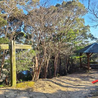 右側に舗装道ありますが、観音山公園駐車場へは東屋右側にある階段ルートで。
