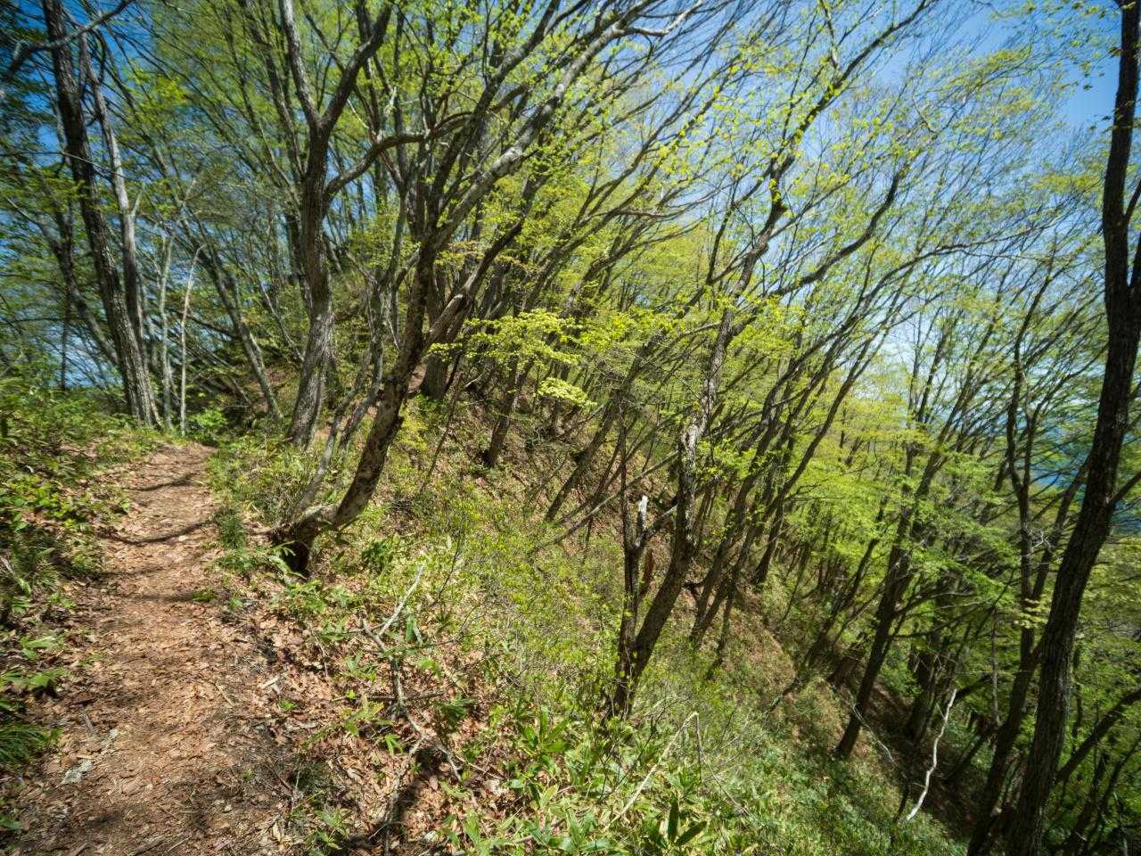山頂手前の分岐で一服むしくらに寄り道