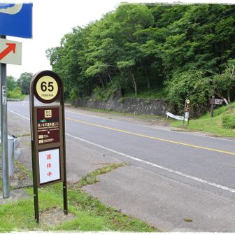 一旦舗装路へ。
茶ノ木平遊歩道入口というバス停がありますが、現在運休中です。