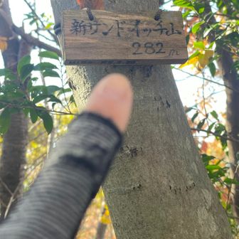 新サンドイッチ山！