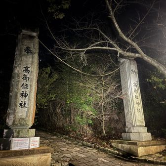 下山は❄️大山に備え、膝温存で19分