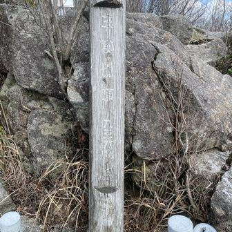 発射しそうかな〜と