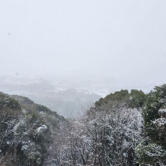 また降ってきた❄
真っ白❄