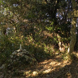 眉山最高点☝️