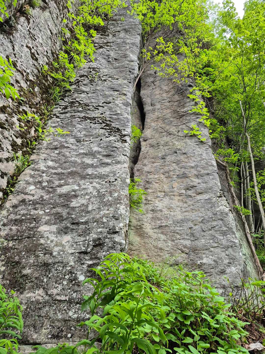 石垣山登山口-石垣山 往復コースの写真