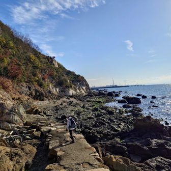 海沿いのこんな素敵な道からスタート