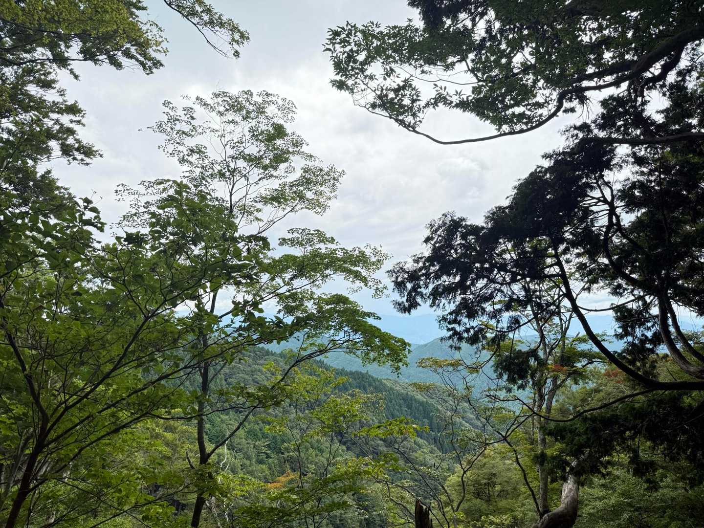 展望も少しあります😊