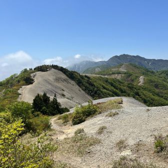 金北山を正面に見ながら稜線歩き
まだそれほど暑くなく気持ち良い👌