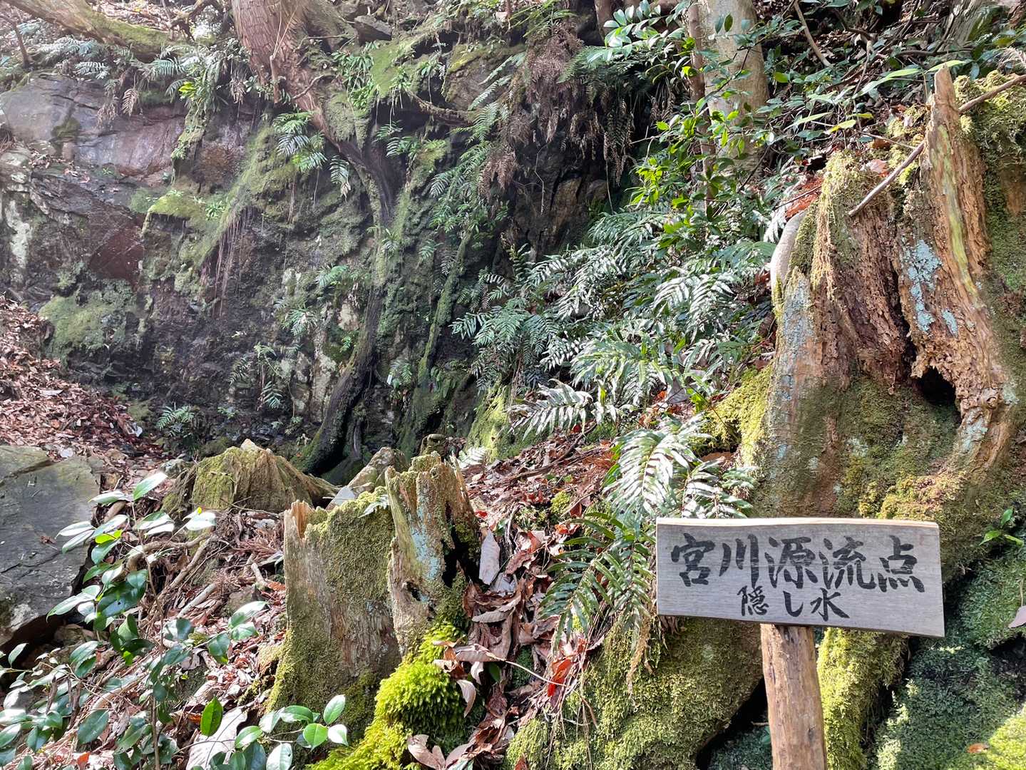 友だちは初めてだったので、下山途中にパワースポットの宮川源流点にも立ち寄りました✨