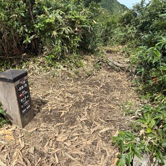 百草の池