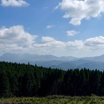 旧大分百山分類“青野山”（あおやさん）山頂付近からは⛰️“くじゅう連山”が一望👀
これ程⛰️綺麗に全見えできるとこも少ないかもなぁ…😁
 いったん杉の植林が進んで かつては眺望が無くなってしまったとの事ですが 現在は南側が伐採されていて 眺望の穴場スポット？
“大分百山 まとめ”
https://yamap.com/moments/1425669