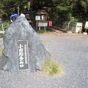 無事に下山！
