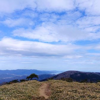 鍋塚からでは天橋立がギリギリ隠れてしまって見えないが…恐らく、籠神社はギリギリ見えてますね…ルート無いので歩いては行けませんよ。