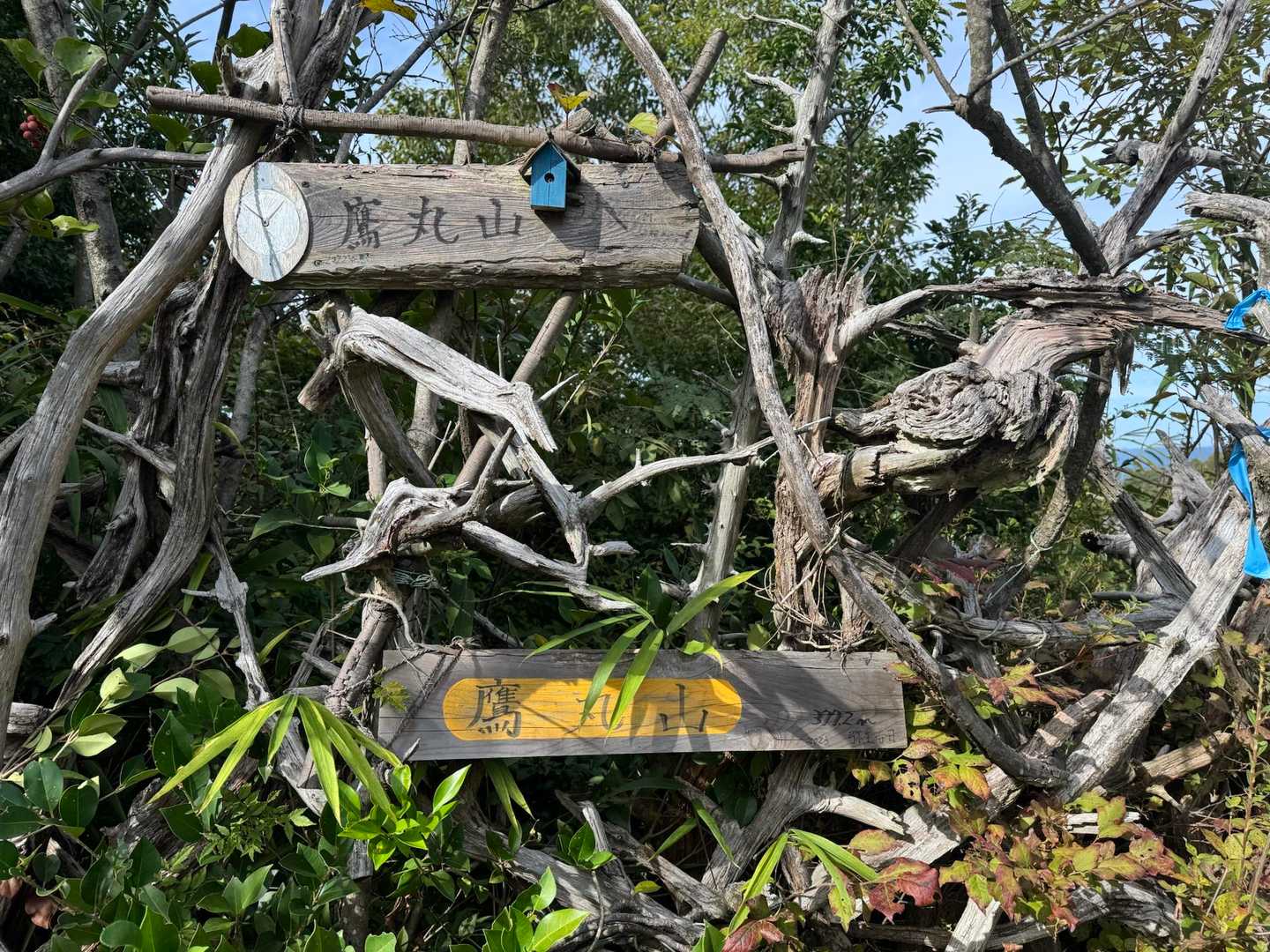 小さな鳥の巣がおしゃれです。