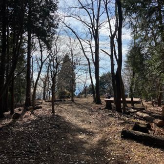 久しぶりのテント⛺️場を調査。シーズン前に練習しに行きます。