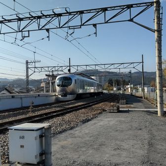 高麗駅を通過する西武秩父線特急ラビュー