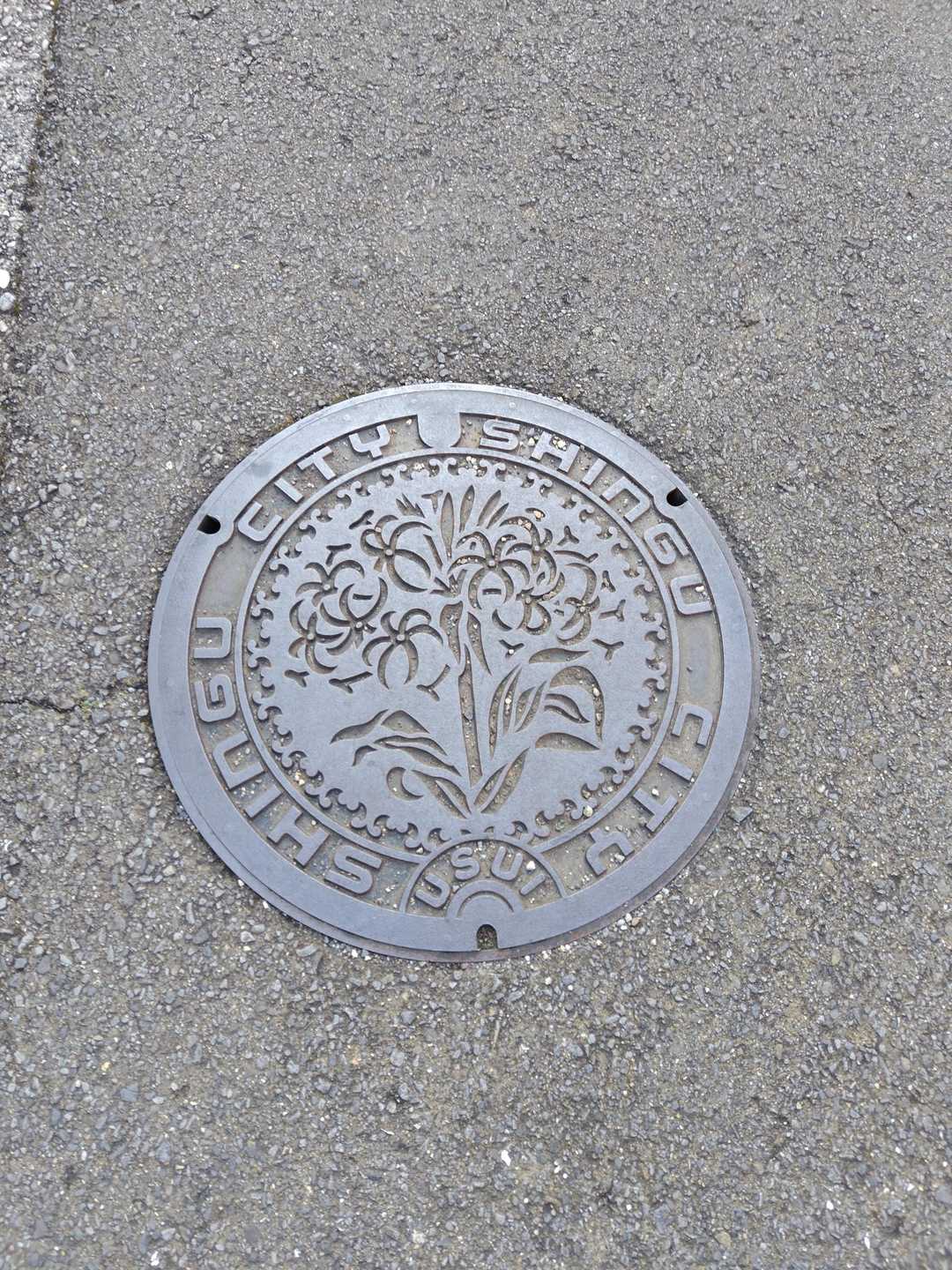神倉神社へ向かう道。
新宮市都市下水路『SHINGU CITY』
描かれているのは市の花ハマユウだそうです✨