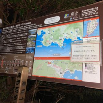 暗闇のなか国道を通ってなんとか吉田海岸へ