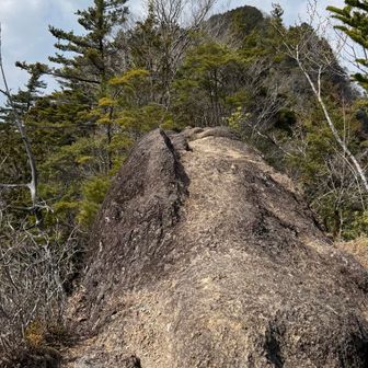 さっきの馬の背とは違う、馬の背岩🪨