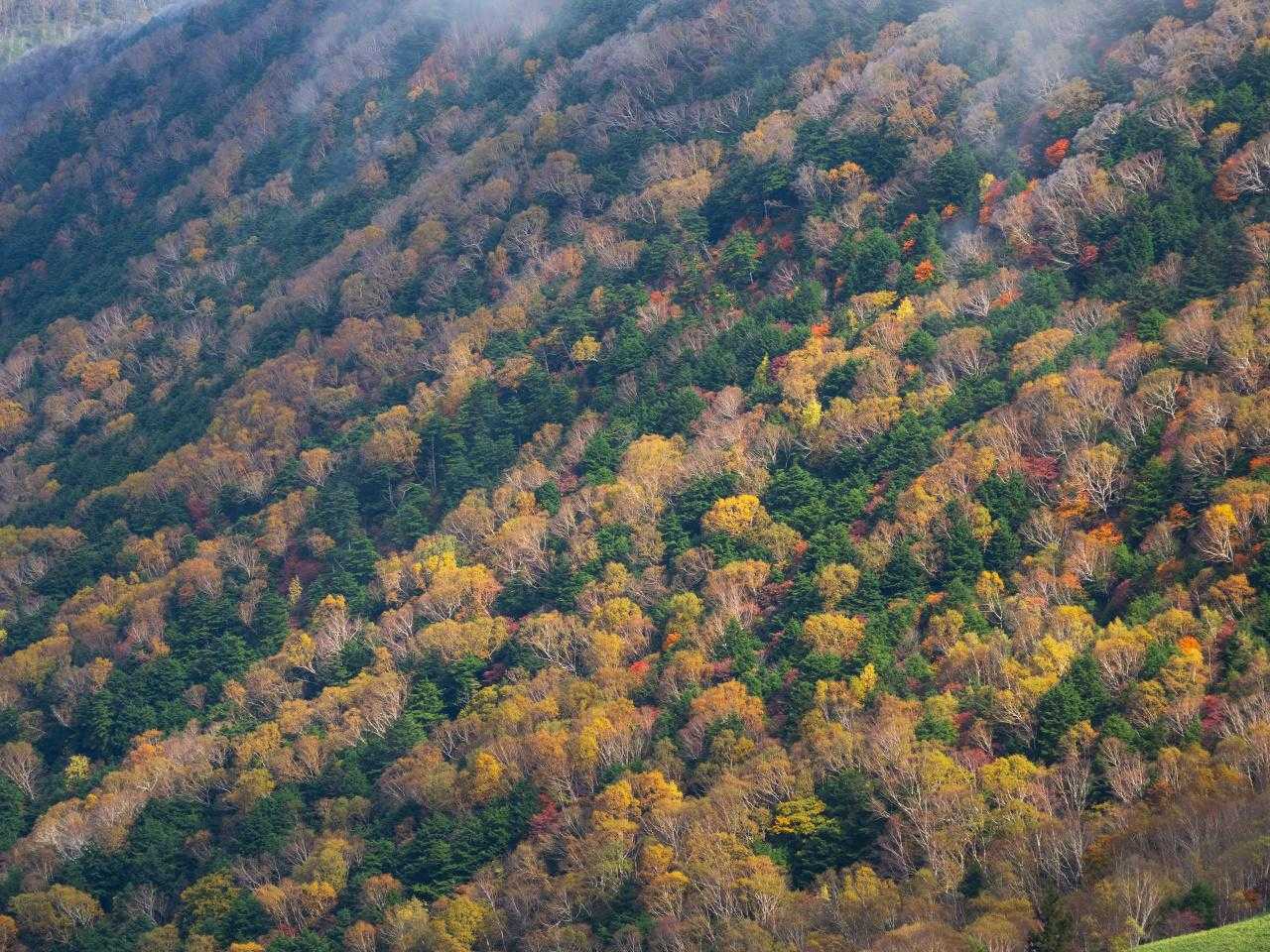 烏帽子岳（地蔵峠）の写真