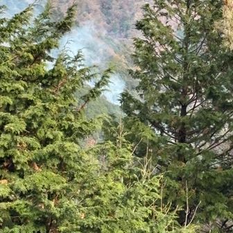 日向山の山火事の様子。