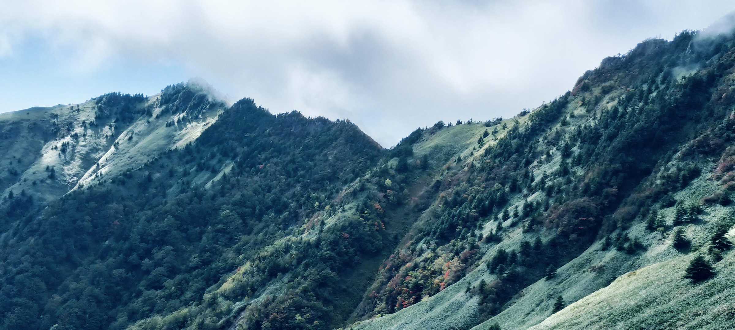 壮大✨