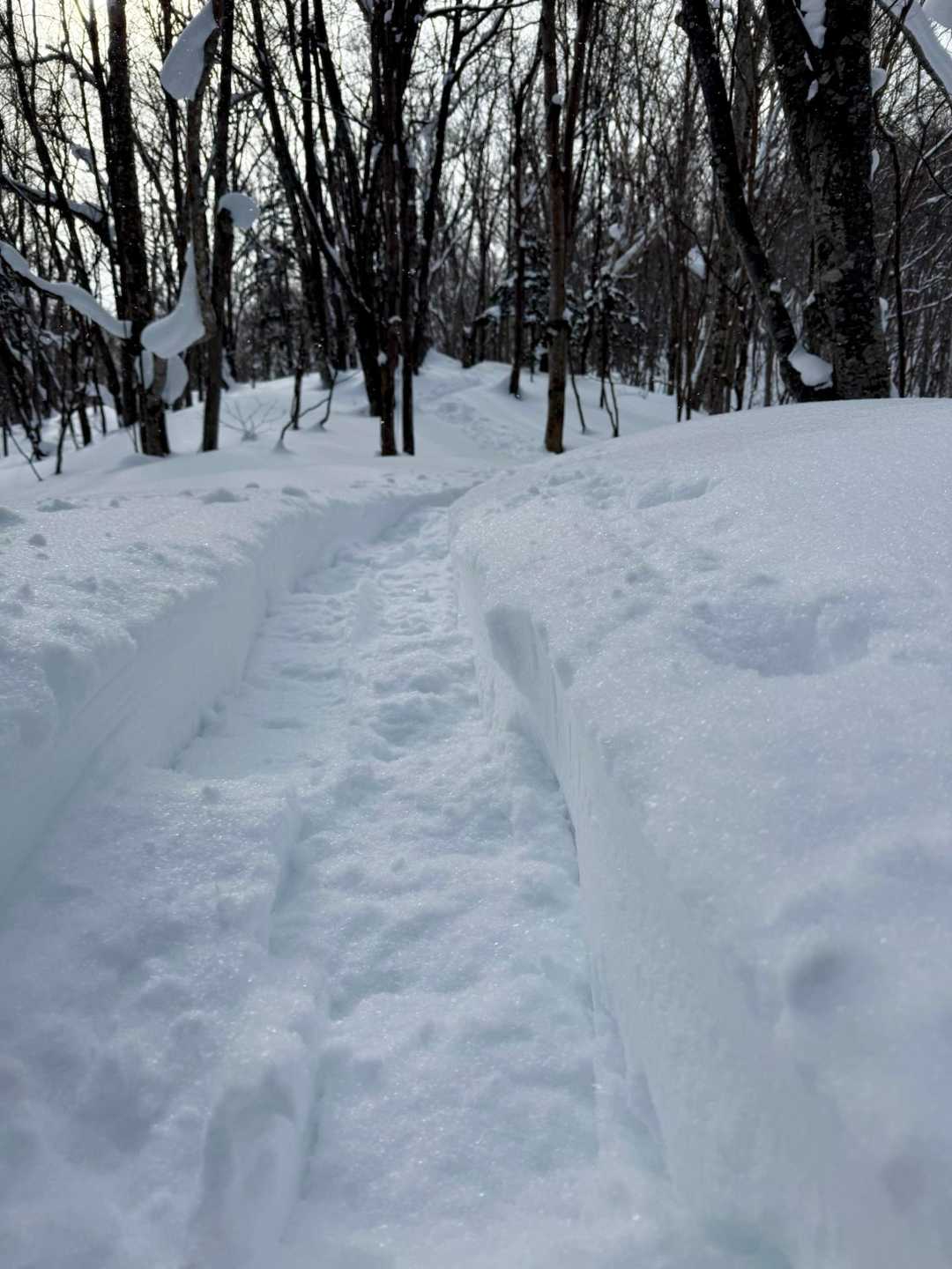 日曜日の大雪の後、みなさんの日記も上がっていず不安でしたが、ばっちり👌でした
ちょっと幅が狭くて歩きづらいけれど😆