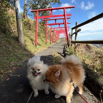 姉ちゃんなんか体匂わない？？クンクン