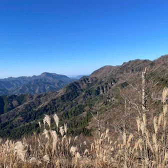 犬ヶ岳の先に英彦山⛰️来週は多いでしょうね！