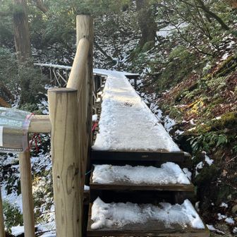 ところどころ凍りかけ
でもチェンスパは小屋まで使わなかった