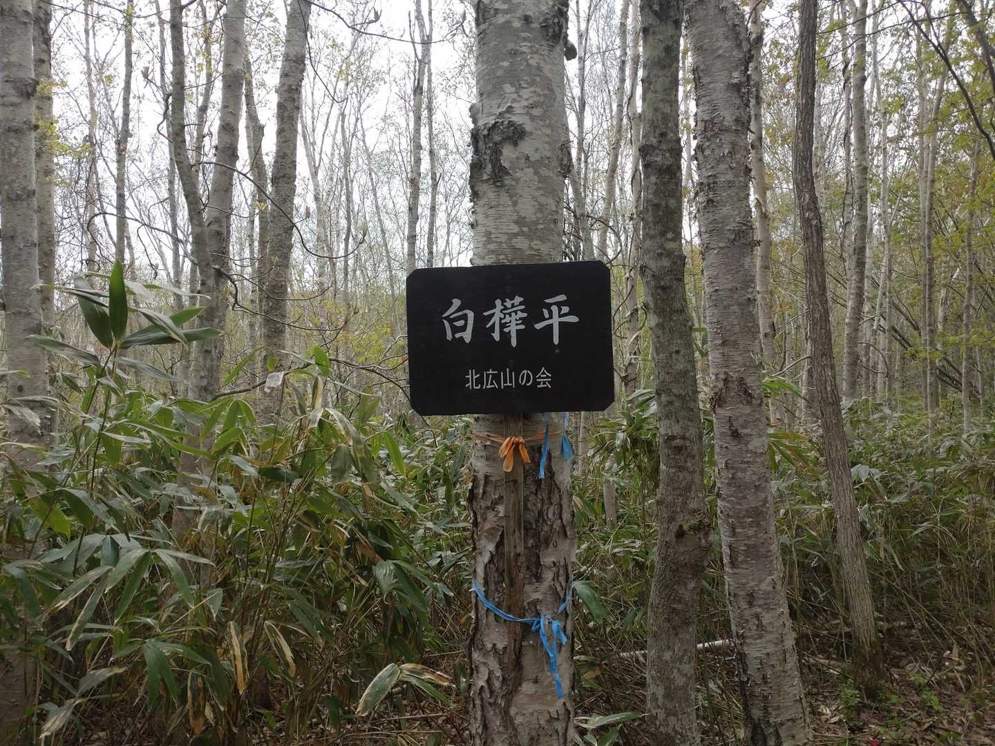 いきなり…😆