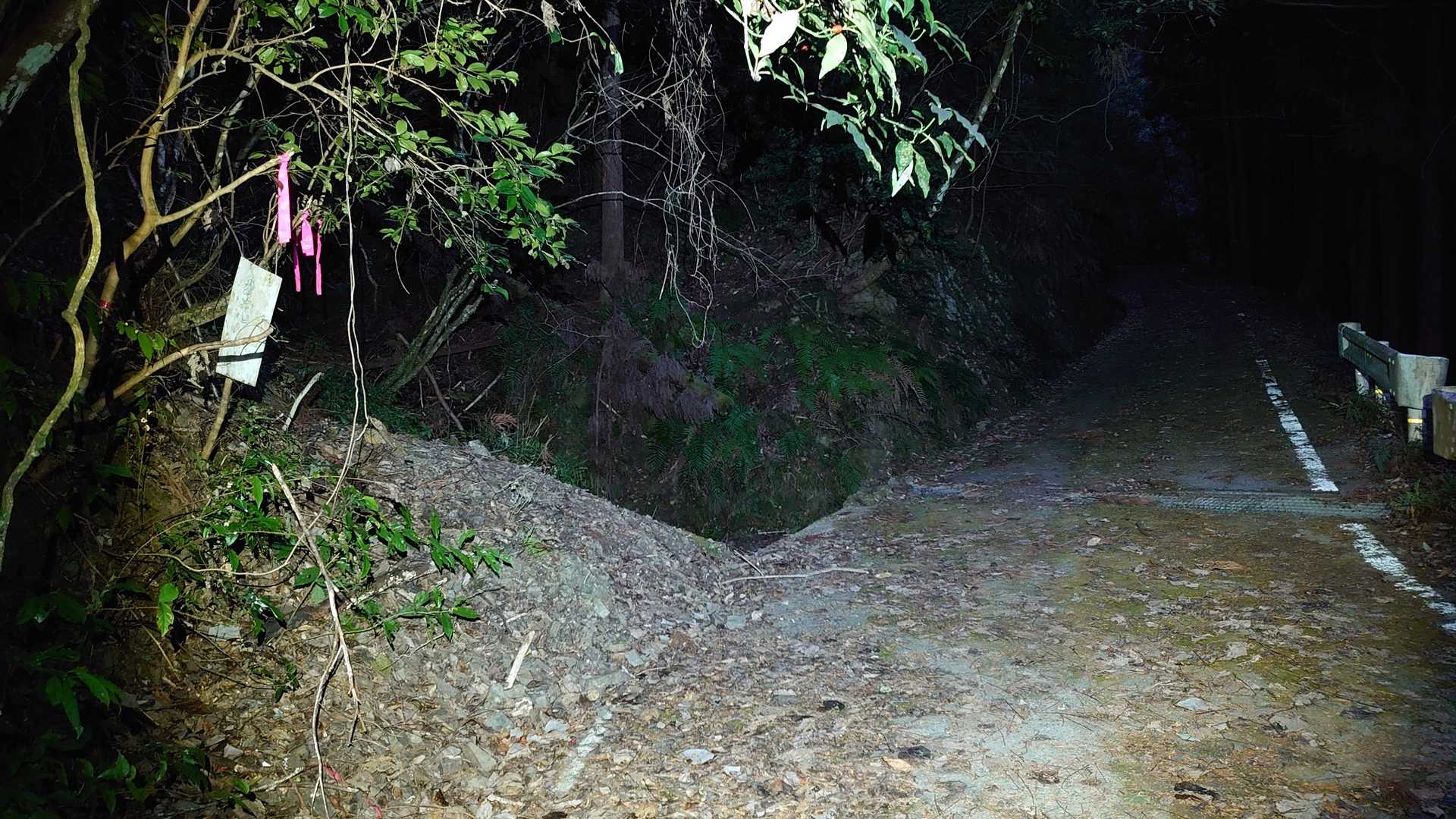 登山口。舗装林道から左手の登山道に入る。
暗すぎて最初は気づかずに通り過ぎてしまった。