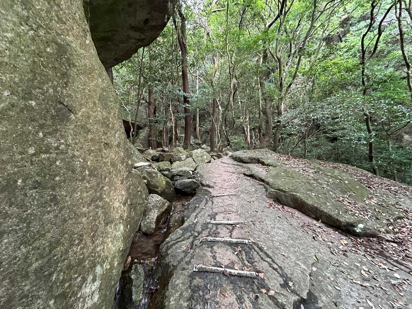 さすがミニ大崩山