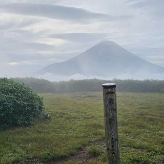 ほんとに一瞬だけ改善、ありがてー
