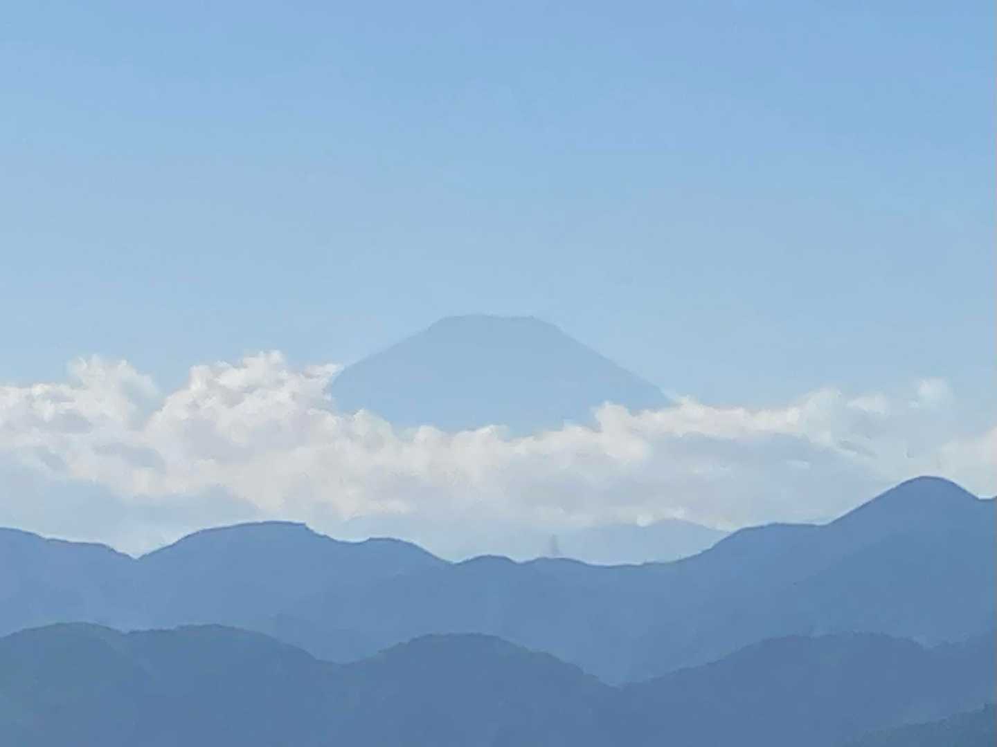 見れた