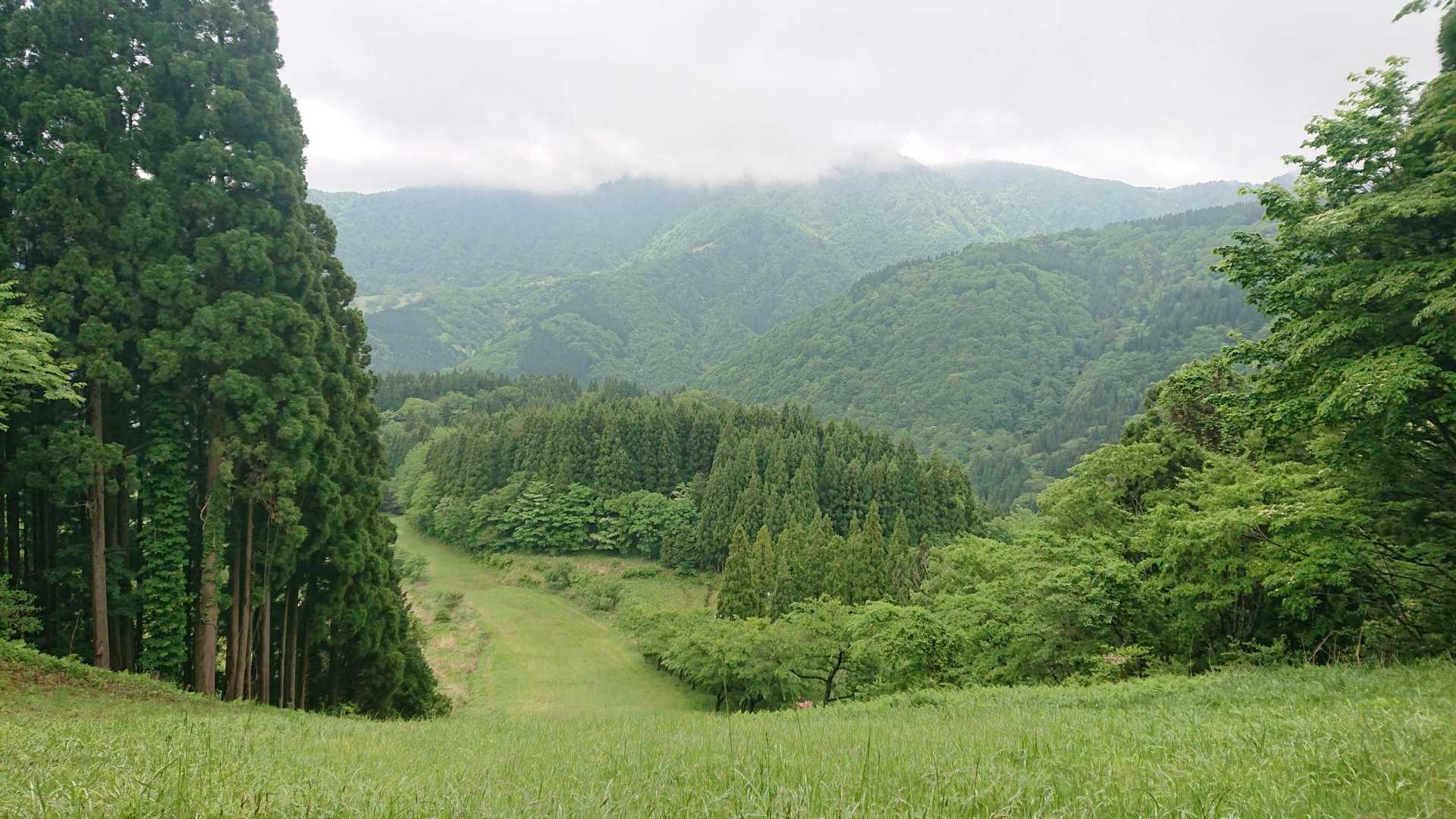 緑がきれい✨