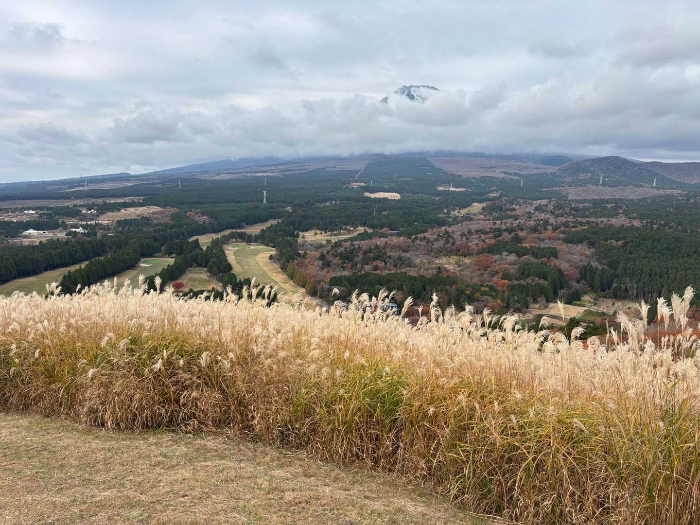 十里木高原バス停-越前岳-呼子岳 往復コースの写真