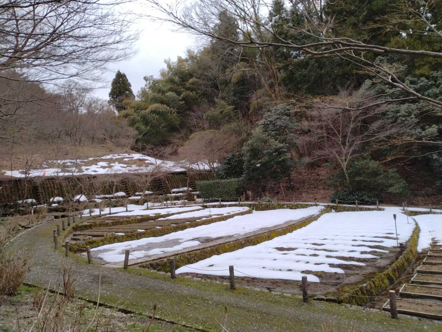 卯辰山 往復コースの写真