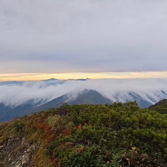 滝雲