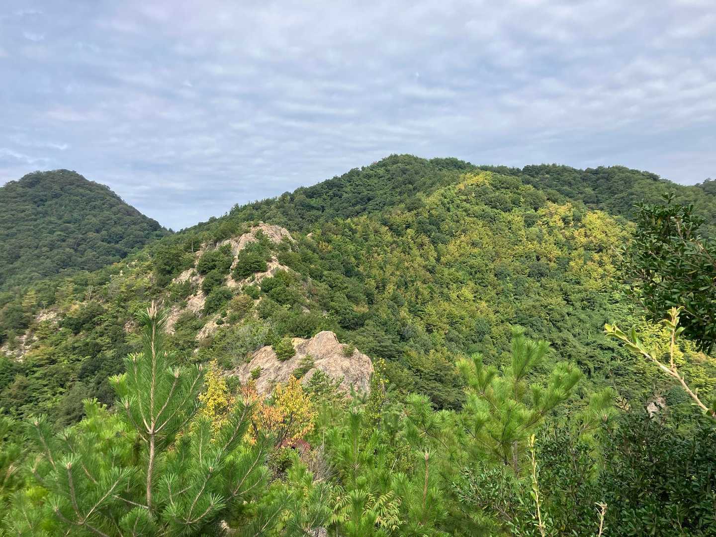 薬師寺奥ノ院観音堂-牡蠣山 往復コースの写真