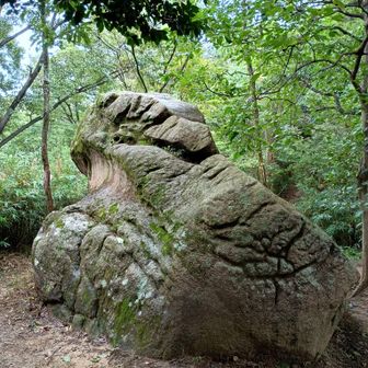 会下山尾根は初めて通るけど、なかなか快適。蛙岩を通過。おー、これ後姿なんや。