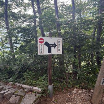 で
コレが噂の奴