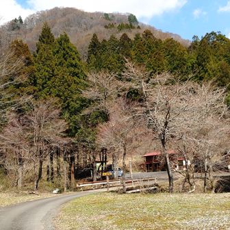 駐車場が観えて来ました✨️