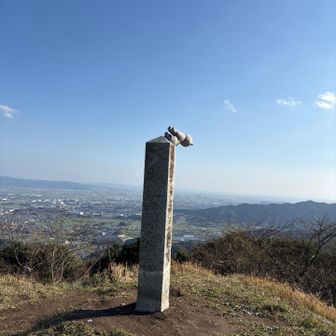 の直後、強風によりこにゃが飛ばされる🌪️
心の底から大笑い🤣

あれーーーっキャッチしてくれないと後ろはプチ崖ですよ🫴😹　　　　　こにゃ