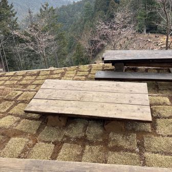 山頂は整備中でした