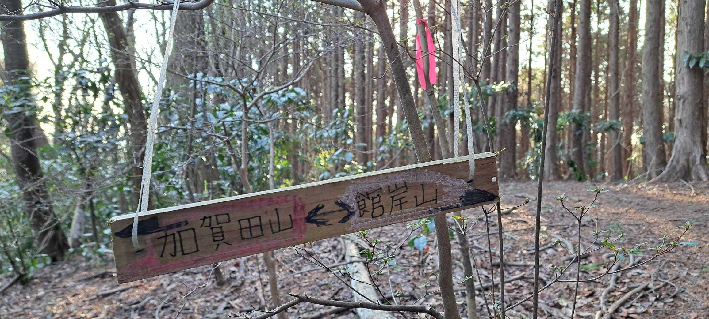 手作り看板
ここから金比羅山へ向かいます
