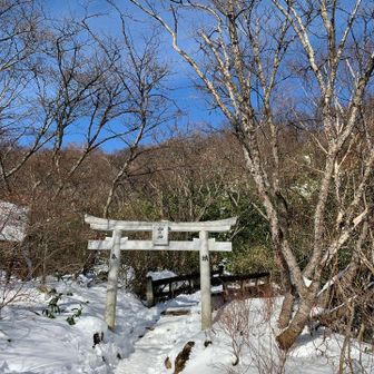 あっという間でした